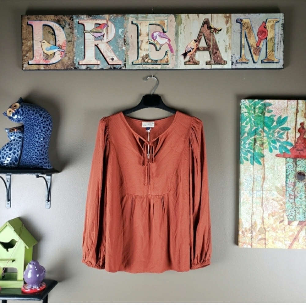 Universal Thread Yoke peasant burnt orange blouse med